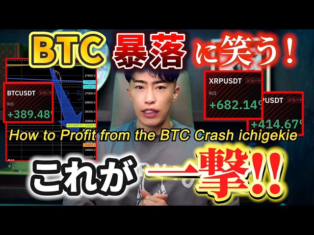 ビットコイン暴落で利益を出す方法！How to Profit from the BTC Crash ichigeki
