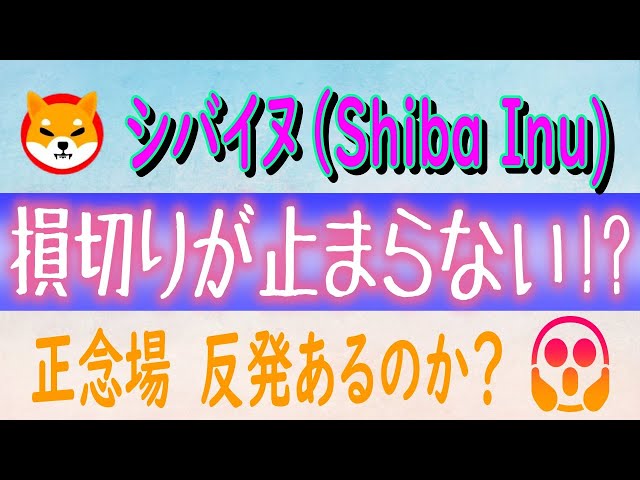 【シバイヌ（Shiba Inu）】損切りが、過去１年でもっとも高いレベル!?【仮想通貨】反発はあるのか？